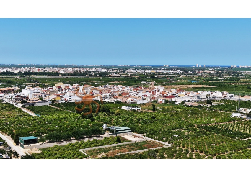 Sad mandarynkowy 2400 m2 Cullera, Walencja